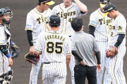 阪神・ガンケル　長打攻勢に屈し6回5失点　甲子園初先発も粘りきれず「ジャイアンツは良い打線だった」