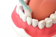 【速報】歯を修復する塗り薬、開発される