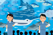 水族館←これの「メイン」ってなんなん？
