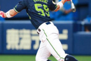日ハム→ヤクルトの選手は当たりばかりな件