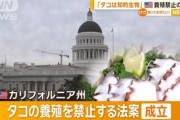 【速報】米国でタコ養殖禁止を展開する動物保護団体、日本をターゲットにした模様「養殖禁止を要求する」