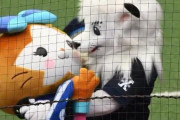【悲報】西武レオさん、スターマンの脳を破壊