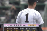 東北高校・ハッブス投手の投球wwwww