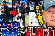 高木豊さん、ヤクルトとDeNAの乱闘寸前騒ぎに「野村さんが監督になってから多いんだよ」