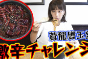 【悲報】安田美沙子さんのYouTube、悲しい