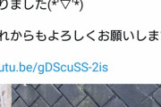 【朗報】マンさん、たまたま飼う準備万端の状態でキレイな捨て猫を拾い、即youtubeデビュー