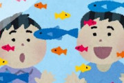 アクア民Aさん「明日、水槽セット一式と生体が届く！楽しみだなー」　アクア民Bさん「絵に描いたような失敗パターンだなぁ」