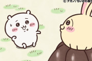 【画像】ちいかわ、思ったよりデカい…お前らの思ってる3倍はデカい