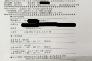 【悲報】フェミ女さん、調子に乗りすぎたせいで着払いで出前を頼まれてしまう