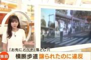 【胸糞動画】歩行者「お先にどうぞ」車「どもです！（ｽｨｰ」⇒警察「違反です。罰金。」