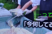 【画像】鉄腕DASH「超巨大アジフライ」企画に批判の声 「サラダ油84本分も使うとか・・」「食料難対策の企画なのに・・」