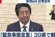 【新型コロナ】尾身副座長「日本と欧米との差、私は３つあると思う」（会見動画）