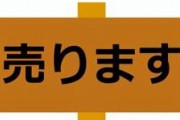 【悲報】安倍晋三さんの国葬の粗品、メルカリに出品されまくっていると話題に