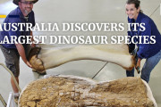 オーストラリアの科学者が世界最大級の恐竜を発見！海外の反応