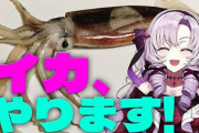 【朗報】サロメ、ガチでそのまんまのイカに挑戦
