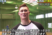 砂川リチャード 打率.189(53-10) 5本13点 OPS.746