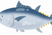 生魚食えない人いる？ｗｗｗｗｗ