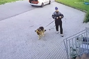 これは悲しい動画。ワンちゃんを手すりに縛り付けて置き去りにする男。