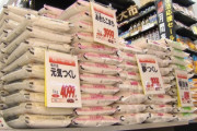 【動画】米卸「助けてー！米が売れなくて倉庫が米で溢れてるの！もう無理…」→ガチのマジでとんでもない量で草www