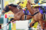 【菊花賞馬の王道ローテ】アスクビクターモアは有馬記念へ！　廣崎オーナー「一番得意なのは中山ですから」