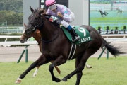 【競馬予想】第56回報知杯フィリーズレビュー(GⅡ) /2022