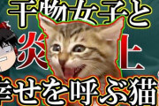 動物ペット系YouTuberとかいう一番闇が深いジャンルｗｗｗｗｗｗｗｗｗ