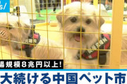 中国企業「ペットのクローンを作って永遠に飼えるようにしました?」→市場超拡大ｗｗｗ