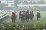 コスモキュランダ(有馬2着、宝塚4着)←この馬の評価