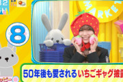 【櫻坂46】とんでもない破壊力... 守屋麗奈、50年後も愛されるイチゴギャグを披露w【ラヴィット】