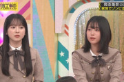 鈴木佑捺ちゃん、増田三莉音ちゃんのママだったｗ【乃木坂46】