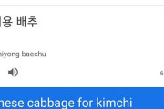キムチしか誇る食材が無い　～　【韓国】Googleで『キムチ用白菜』を検索すると出てくる衝撃結果