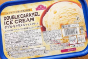 【画像】「トップバリュのアイス」(※ラクトじゃない)が若者の間で流行り始める