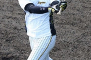 阪神・井上広大、フリー打撃で８８スイング中１２本の柵超えwwwwwwwww