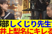 【櫻坂46】澤部、しくじり先生で井上梨名にキレるwww