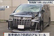 「代行呼ぶ金もったいなかった」6時間飲んだ後でアルファードで歩行者殺した車カス植田龍雅くん佐賀 |  21歳で人生終了のお知らせが  |  求刑ですら懲役４年なら、そりゃなくならんわな