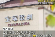 【悲報】宝塚歌劇団の解決策、誰も思い付かない
