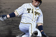 阪神・梅野の評価急上昇！〝独自の武器〟で侍ジャパン入り見えた