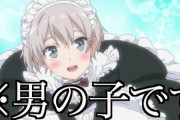 海外オタクたちの間で、アニメキャラが女の子かと思ったら実は男だったという『男の娘』の展開を○○という名前で呼ばれてるらしいｗｗｗｗｗｗ
