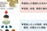 【男性のみか？】サル痘はこれで感染します