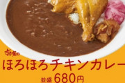 すき家のほろほろチキンカレーが爆売れらしいんだが