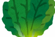 【かっこいい】ほうれん草の品種名が厨二全開でワロタｗｗｗｗｗ