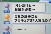 詐欺師「オレだけど、金が必要なんだ」 母親「ふーん、プリキュア37人言ってみぃ」