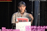 【悲報】岡田奈々「AKBの良さがわからない」