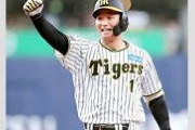 【朗報】森下翔太、打率2割7分5厘でWBC進出へ意欲まんまんやんけ！