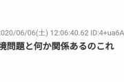 |/-O-O-ヽ|「あど森もブスザワも売れてるブヒ！中古も高値安定ブヒ！」俺「カタログチケット」