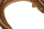 穴子とかいう鰻の完全下位互換