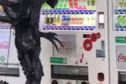 【動画】「CGかと思った」自販機の前でジュースを飲みたそうに奮闘するエイリアンがシュールｗｗｗｗｗｗ