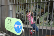 【大阪】公園にあるアスレチックで遊ぶと、動物園側から見ると「ヒト」として展示されててワラタ