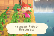 【あつまれどうぶつの森】モミジが舞う季節になったね。レシピ頑張って集めないと…