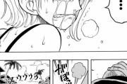 ワンピース読んでるけどこのシーンほんまに名シーンだよなｗｗｗｗｗｗｗｗ